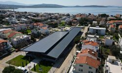 Şakran'da zeytin, deniz ve sanat buluşması