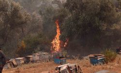 Seydikemer ve Fethiye'de alevlere karşı ortak mücadele