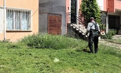 Söğüt'te çim biçme ve ilaçlama çalışmaları aralıksız devam ediyor