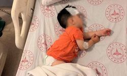 Sokak köpeklerinin saldırdığı 1 buçuk yaşındaki çocuk yaralandı