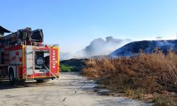 Susurluk'ta otluk alanda çıkan yangın söndürüldü