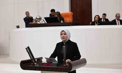 Suudi Arabistan'da 40 yıldır mahsur kalan Sivaslı için diplomatik adımlar atıldı