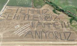 Tarlaya '15 Temmuz şehitlerimizi rahmetle anıyoruz' yazdı