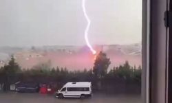 Tekirdağ'da palmiye ağacına yıldırım düştü, alev alev yandı