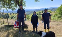 Yaylada küçükbaş hayvanlara aşılama ve küpeleme yaptılar