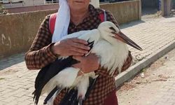 Yerde bitkin halde bulduğu yaralı leyleğe sahip çıktı