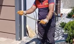 Yozgat'ta evin bahçesine giren yılan doğaya bırakıldı