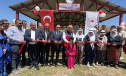 Yüksekova'da berivanlar gölgeliğe kavuştu