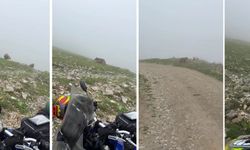 Rize’de Motorcular Ayılarla Burun Buruna Geldi