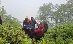 Yaylada Mahsur Kalan Rus Turistlere Ulaşıldı