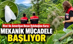 Amerikan Beyaz Kelebeğine Karşı Mekanik Mücadele Başlıyor
