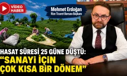 RTB Başkanı Erdoğan: Çay Hasadını Zamana Yaymalıyız