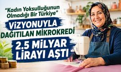 Mikrokredi 2.5 Milyar lirayı aştı