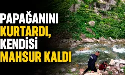 Papağanını kurtardı, kendisi mahsur kaldı