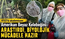 RTEÜ’lü akademisyen Amerikan Beyaz Kelebeğini araştırdı