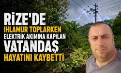 Ihlamur toplarken elektriğe kapılan vatandaş hayatını kaybetti