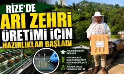 Rize’de arı zehri üretilecek, sistem hazırlanıyor