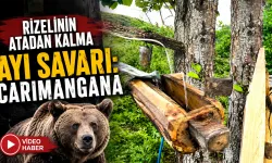 Rizelinin atadan kalma ayı savarı: 'Carimangana'