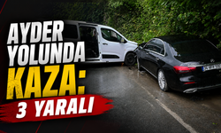 Rize Ayder yolunda kaza: 3 yaralı