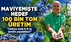 Maviyemişte Hedef 100 Bin Ton, Türkiye 8-9 Ay Üretebiliyor