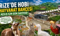 Rize'de Hobi Hayvanat Bahçesi Açılış İçin Gün Sayıyor