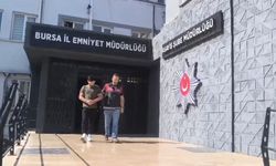 250 saatlik kamera kaydı izlediler, inşaat farelerini böyle çözdüler