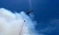 Alanya'da orman yangını