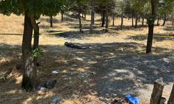 Ankara'daki kadın cinayetinin alacak-verecek meselesi nedeniyle işlendiği iddiası