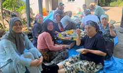 Apar topar İstanbul'a gittiler, yarım kalan fındık hasadını köylüler tamamladı