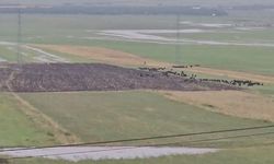 Ardahan'da sağanak ve dolu etkili oldu