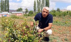 Aronya ile ilçeyi kalkındıracaklar