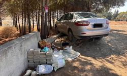 Arsuz'da ağaca çarpan otomobilin sürücüsü yaralandı