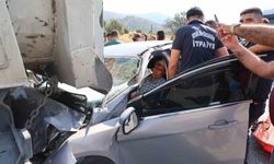 Aydın-Muğla kara yolunda can pazarı