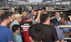 Aydın'da hayvan pazarlarında sıkı denetim