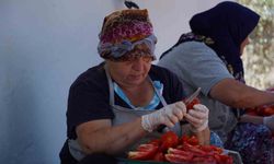 Ayvalık'ta güneş ile lezzet buluşuyor
