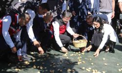 Bakan Yumaklı Aydın'da incir hasadına katıldı