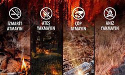 Bakan Yumaklı: 'Orman yangınları açışından kritik 3 gün'