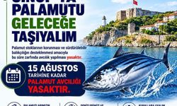 Balıkçılara 'palamut' uyarısı