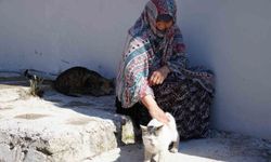 Bayburt'ta senelerdir sahipsiz hayvanları besleyen kadın, 10 yıldır baktığı sokak kedisini kaybetti: 'İki gün ağladım'