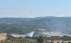 Bilecik'te ormanlık alandaki yangın kontrol altına alındı
