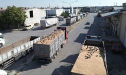 Buğday pazarında güvercinler de nasibini alıyor