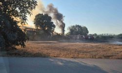 Bursa'da depo ve tarlalık alanda yangın