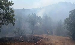 Bursa'da orman yangınına havadan ve karadan müdahale