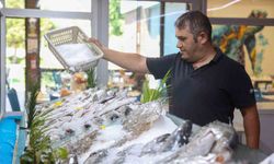 Büyükşehir iştiraki EKDAĞ Düden balık çarşısı, balıkseverlerin uğrak noktası oldu