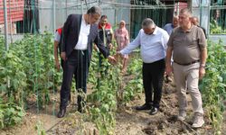 Çarşamba Ovası'nda sağanağın bilançosu ağır: 30 mahallede 5 bin dekar zarar