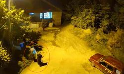 Cesaretleri ayının sesini duyana kadardı
