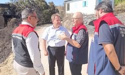 Çine'de yangın sonrası hasar tespit çalışmaları sürüyor