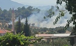 Dalaman'da orman yangını ekiplerin hızlı müdahalesi ile kontrol altına alındı