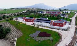 Denizli Büyükşehir Belediyesinden barınak iddialarına suç duyurusu