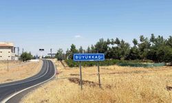 Diyarbakır Valiliğinden kuduz açıklaması